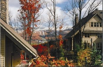 Outdoor Pictures 21
