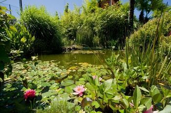 Outdoor Pictures 20