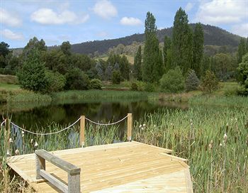 Outdoor Pictures 17