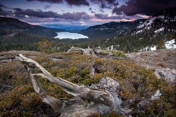 Outdoor Pictures 20