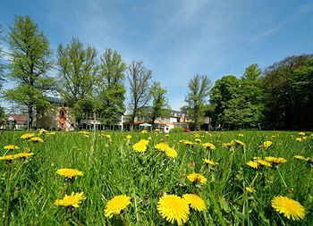 Outdoor Pictures 22