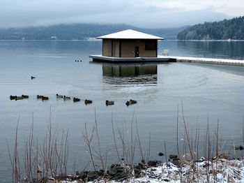 Outdoor Pictures 24