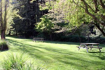 Outdoor Pictures 17