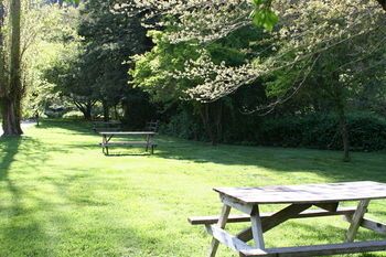 Outdoor Pictures 16