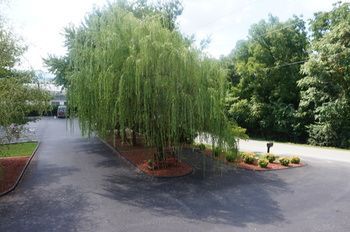 Outdoor Pictures 21