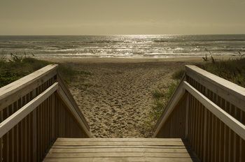 Outdoor Pictures 21