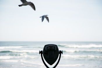 Outdoor Pictures 21