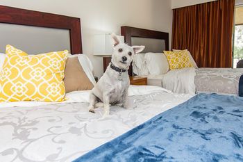 Ramada by Wyndham Holtville