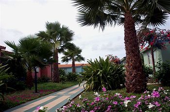Outdoor Pictures 12