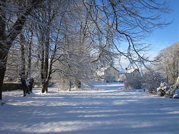 Outdoor Pictures 22