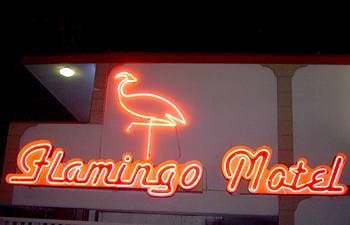 The Flamingo Motel