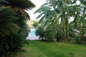 Outdoor Pictures 21