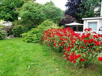 Outdoor Pictures 21