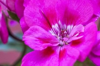 Outdoor Pictures 14