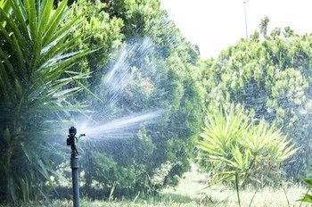 Outdoor Pictures 21