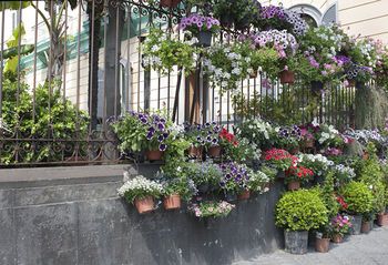 Outdoor Pictures 20