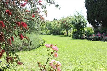 Outdoor Pictures 22