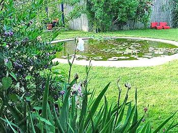 Outdoor Pictures 19