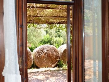Outdoor Pictures 23
