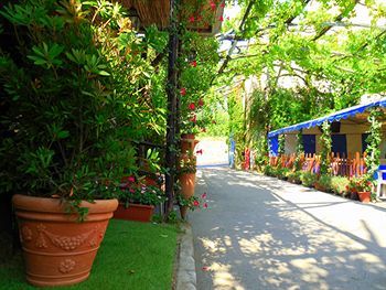 Outdoor Pictures 15