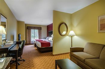 Comfort Suites Old Town Spring