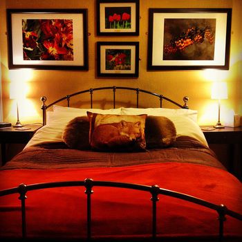 The Stanage B&B