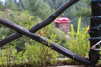 Outdoor Pictures 20
