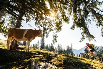 Outdoor Pictures 24