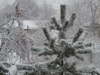 Outdoor Pictures 22