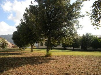 Outdoor Pictures 21