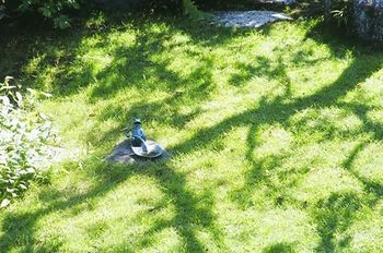 Outdoor Pictures 23