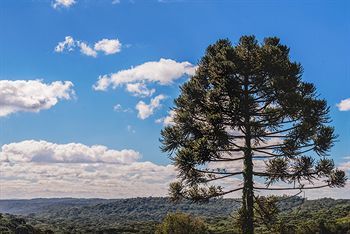 Outdoor Pictures 20