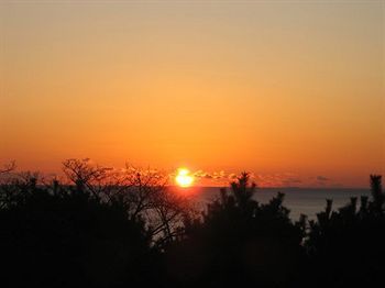 Outdoor Pictures 20