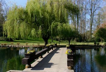 Outdoor Pictures 21
