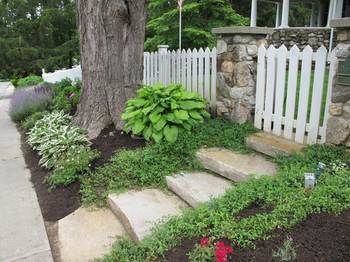 Outdoor Pictures 9