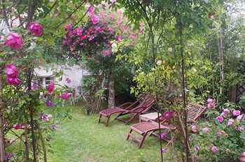Outdoor Pictures 21