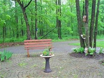 Outdoor Pictures 8
