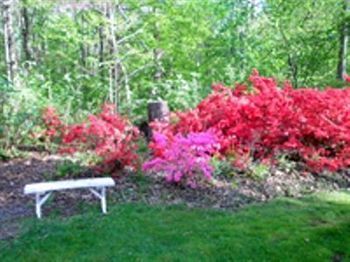 Outdoor Pictures 11