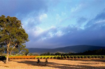 Outdoor Pictures 21