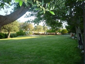 Outdoor Pictures 24