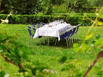 Outdoor Pictures 22