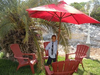 Outdoor Pictures 14