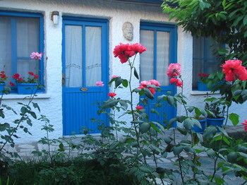 Outdoor Pictures 1