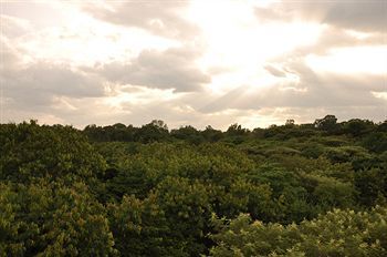 Outdoor Pictures 19