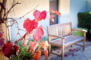 Outdoor Pictures 7