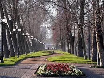 Outdoor Pictures 20