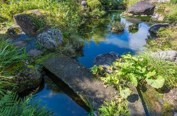 Outdoor Pictures 22