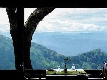 Outdoor Pictures 22