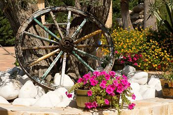 Outdoor Pictures 22