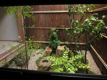Outdoor Pictures 9